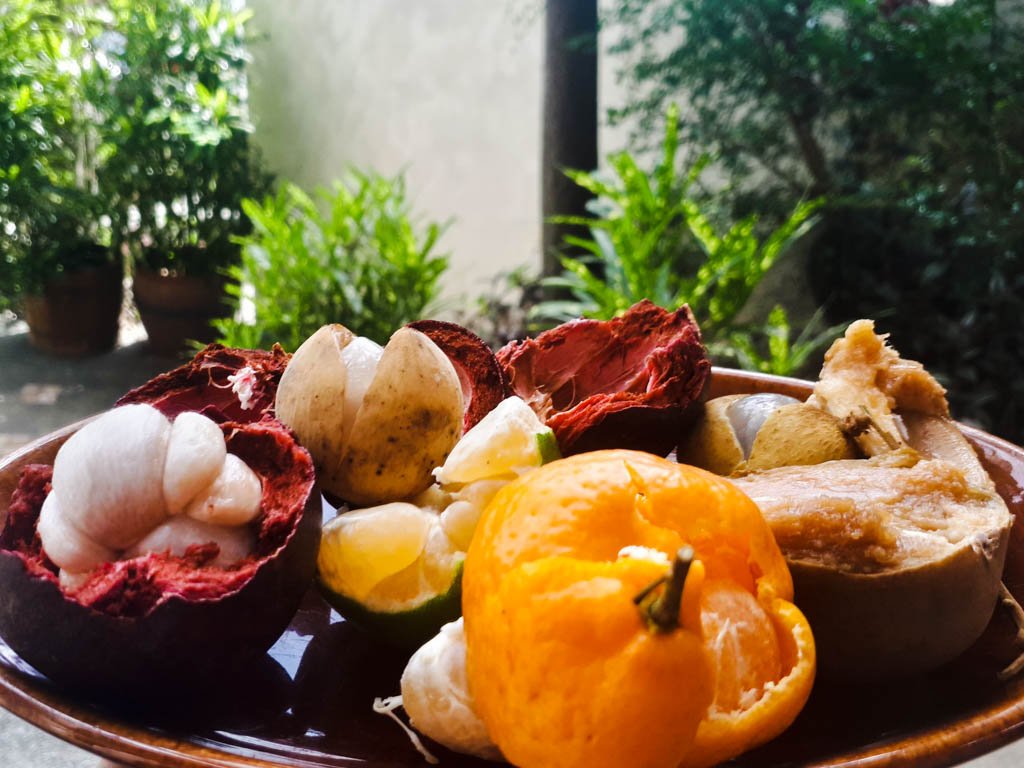 Fruits in the Philippines - bowl of fruit with mangoosten kiat kiat, chico, lanzones and others